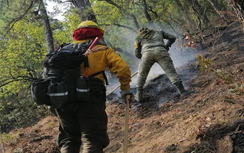 Extinguen 3 incendios en Nuevo León; 5 permanecen activos