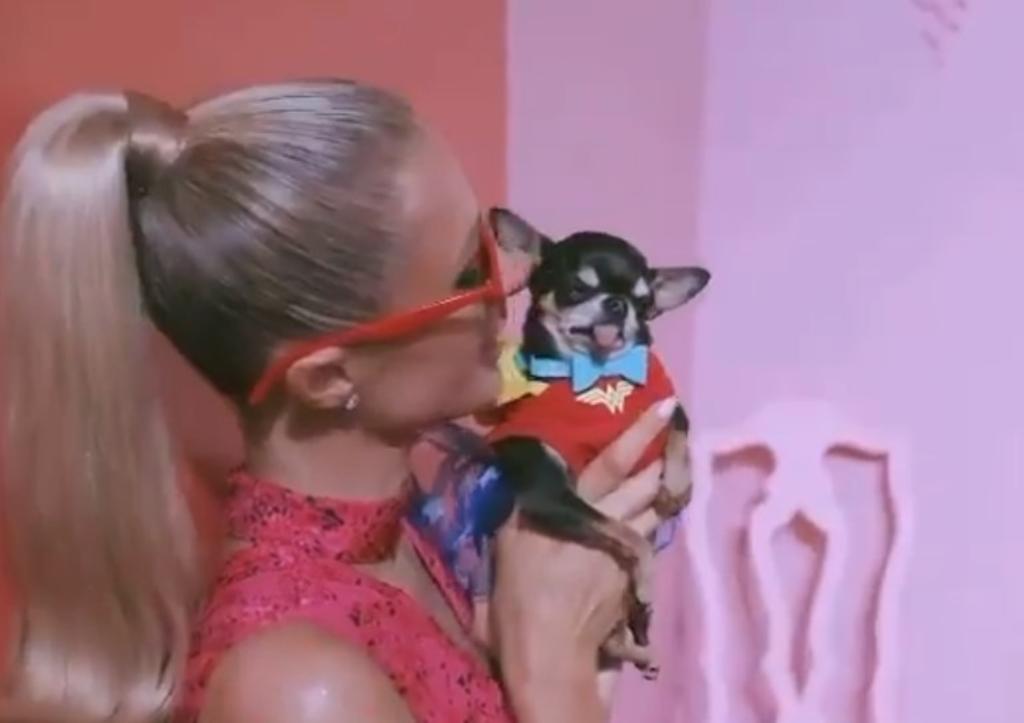 Paris Hilton invierte 113 mil pesos en bolso para su Chihuahua