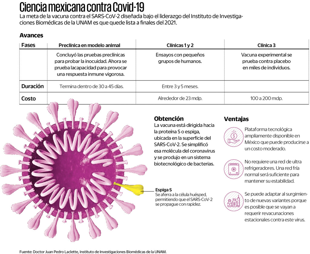 Financiación atora vacunas contra COVID-19 mexicanas