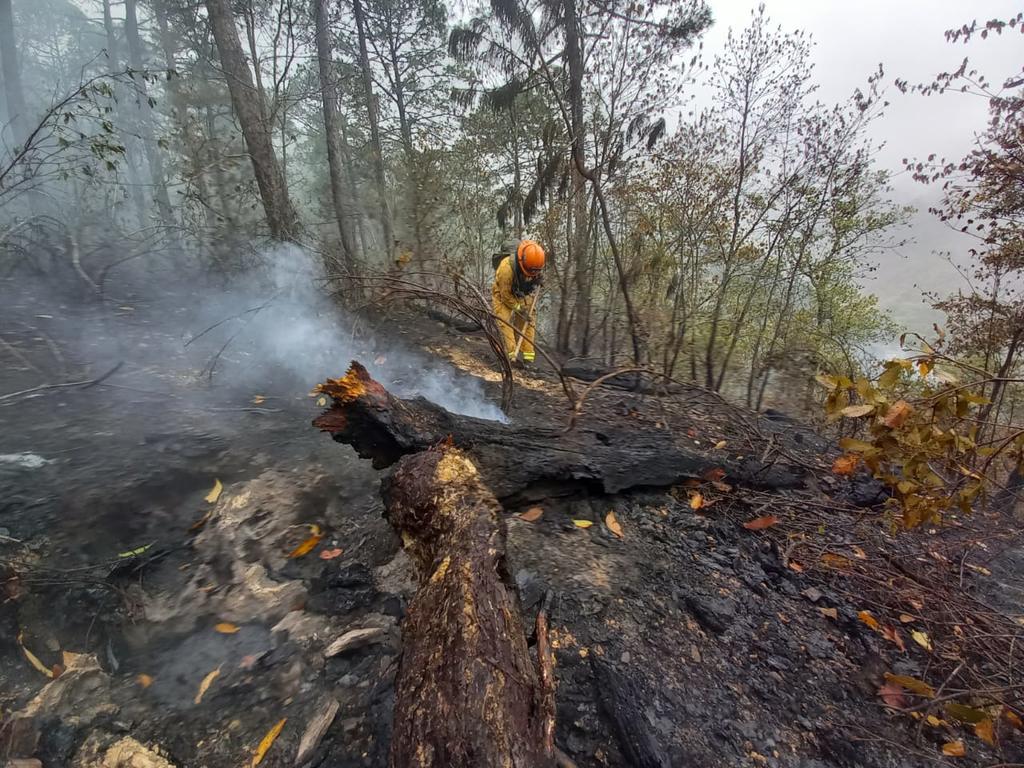 Extinguen siete incendios forestales en Nuevo León