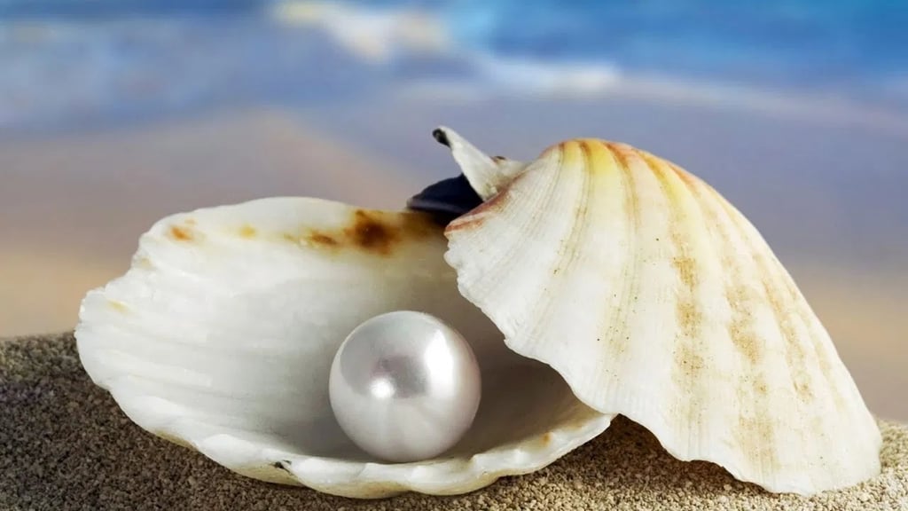 Cómo se cultivan las perlas