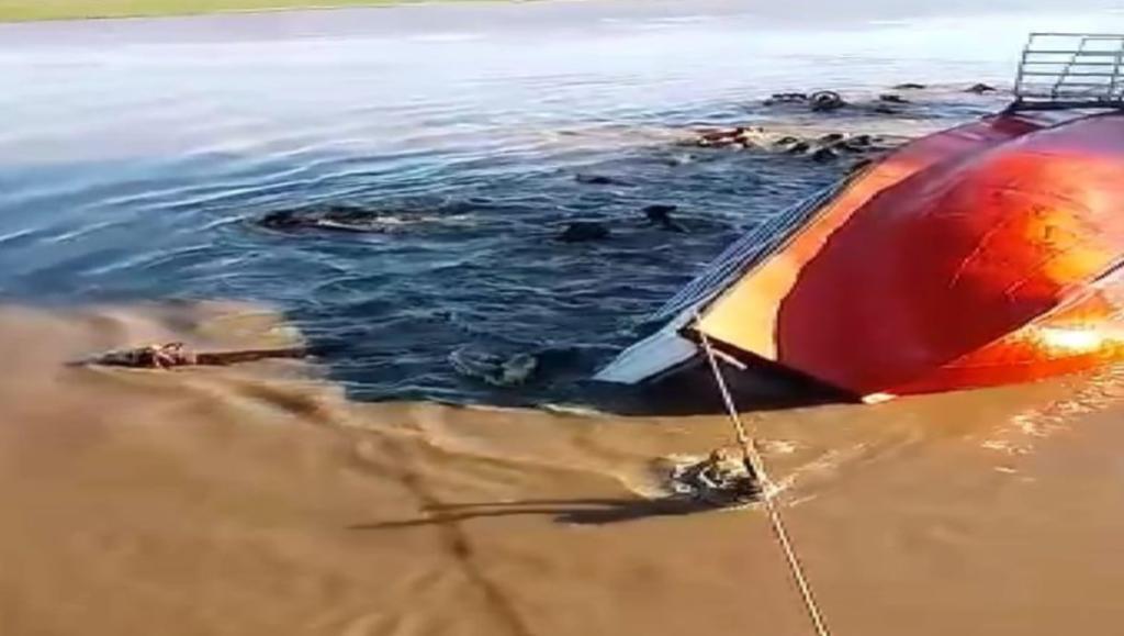 Decenas se vacas mueren ahogadas tras el hundimiento de un barco