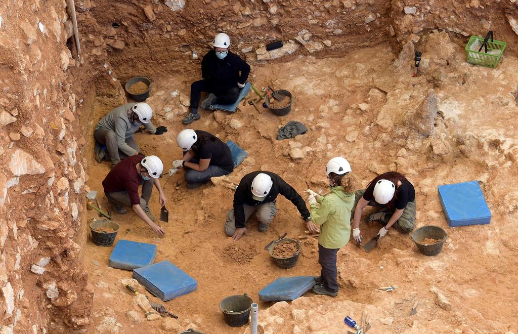 ADN de sedimentos reescribe la historia neandertal de Atapuerca