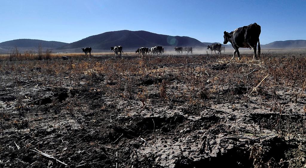 Se agudiza sequía en México; afecta a 84 por ciento del país