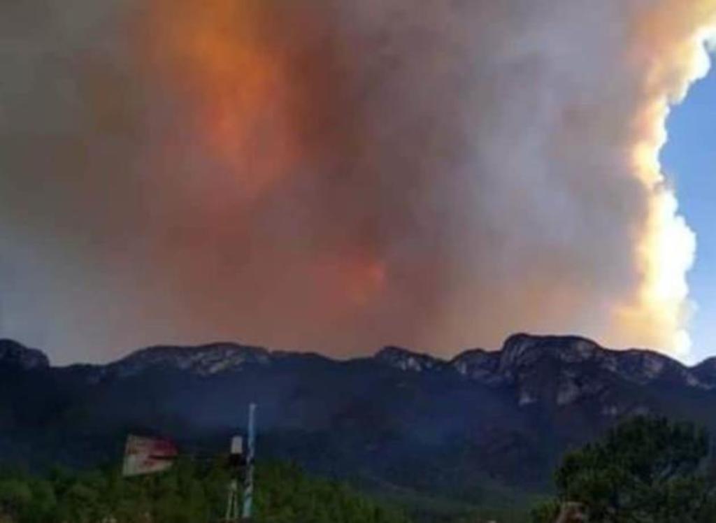 Emiten declaratoria de desastre natural por incendios en Nuevo León