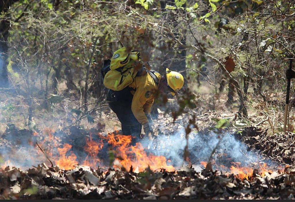 Suben incendios forestales en México; recortan presupuesto a bomberos
