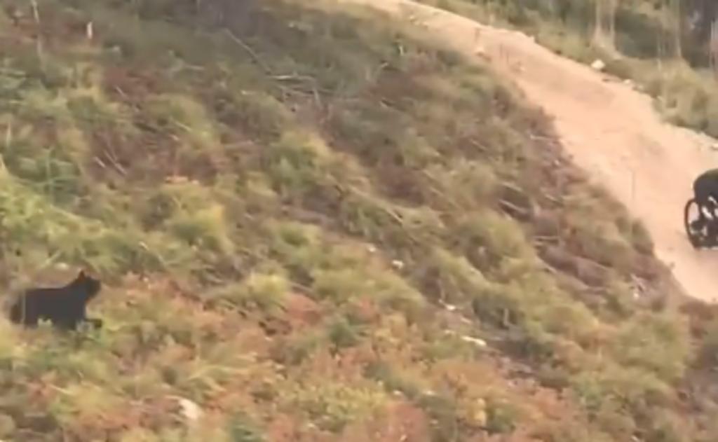 Ciclista es grabado siendo perseguido por un oso negro mientras descendía una montaña