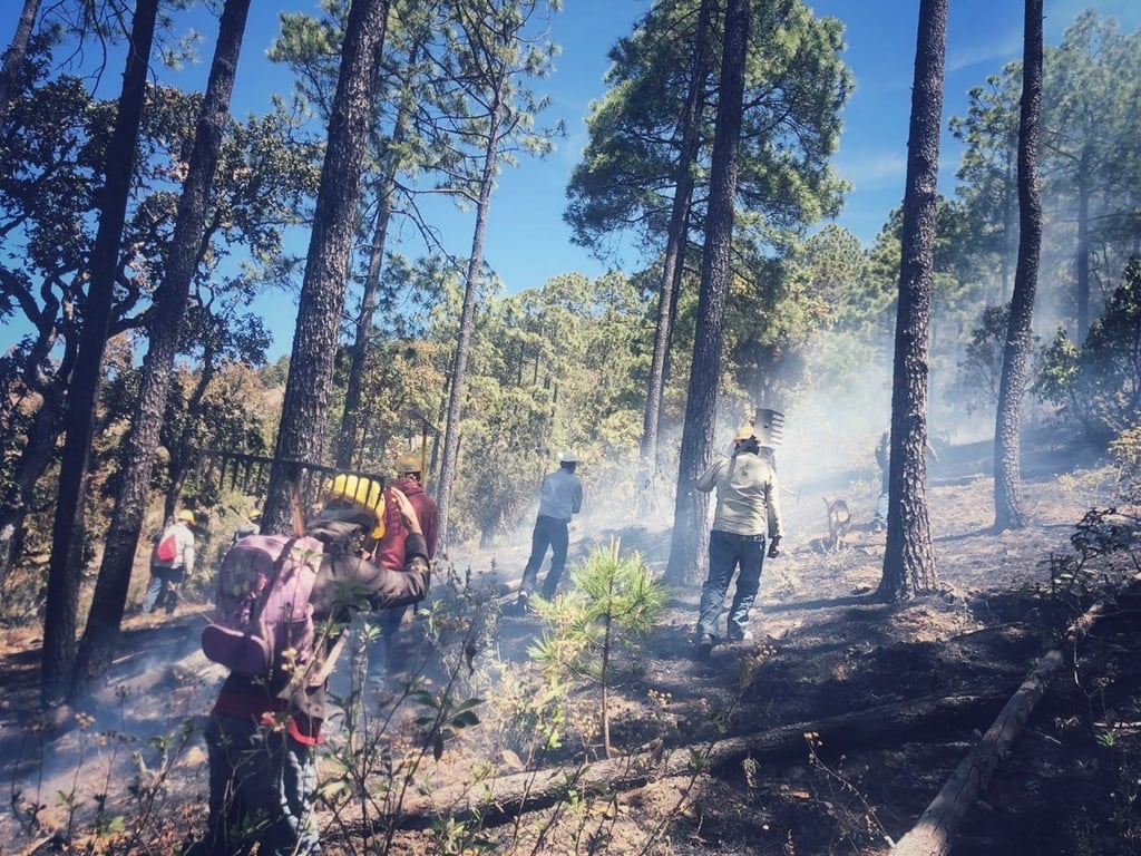 Suma Durango 82 incendios forestales