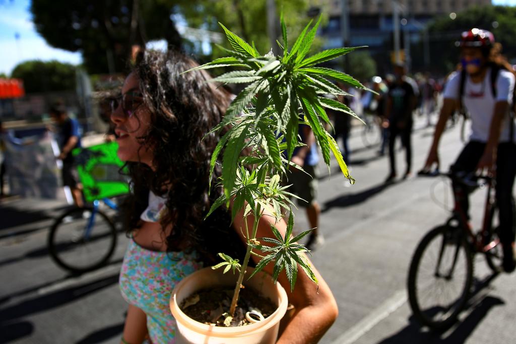 Senado mexicano aplaza aval para regulación de marihuana