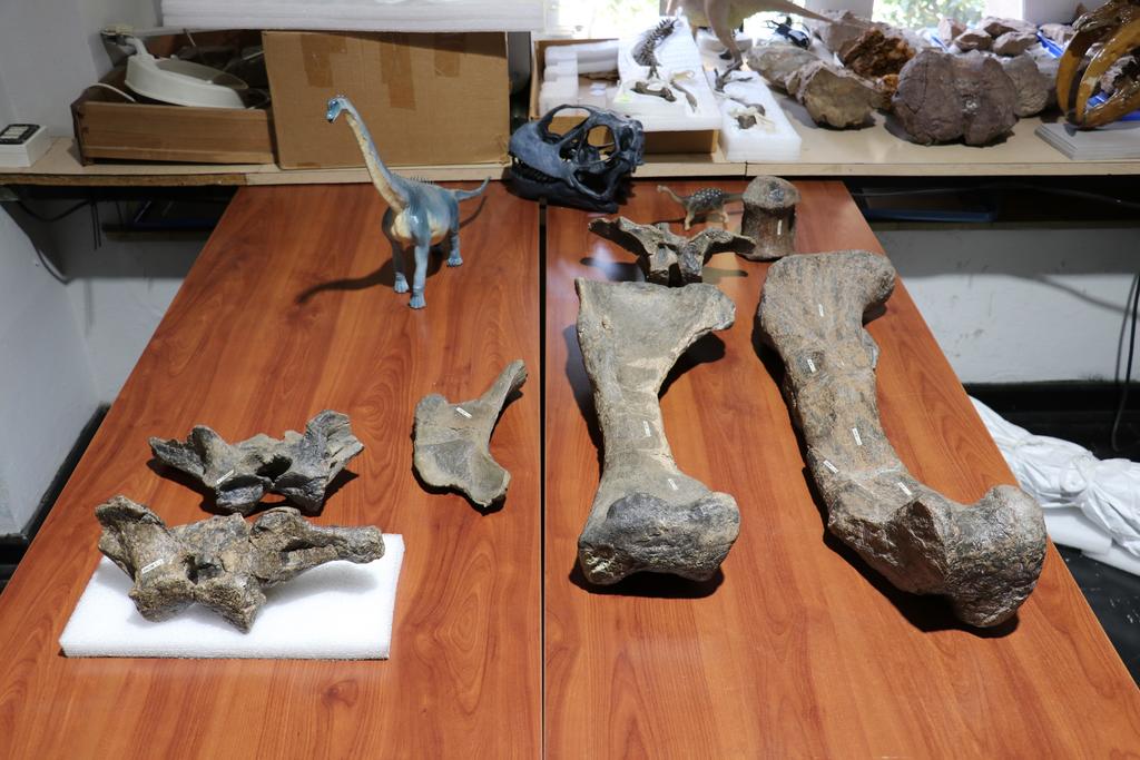 'Osamentas atacameñas', nueva especie de dinosaurio hallada en Chile