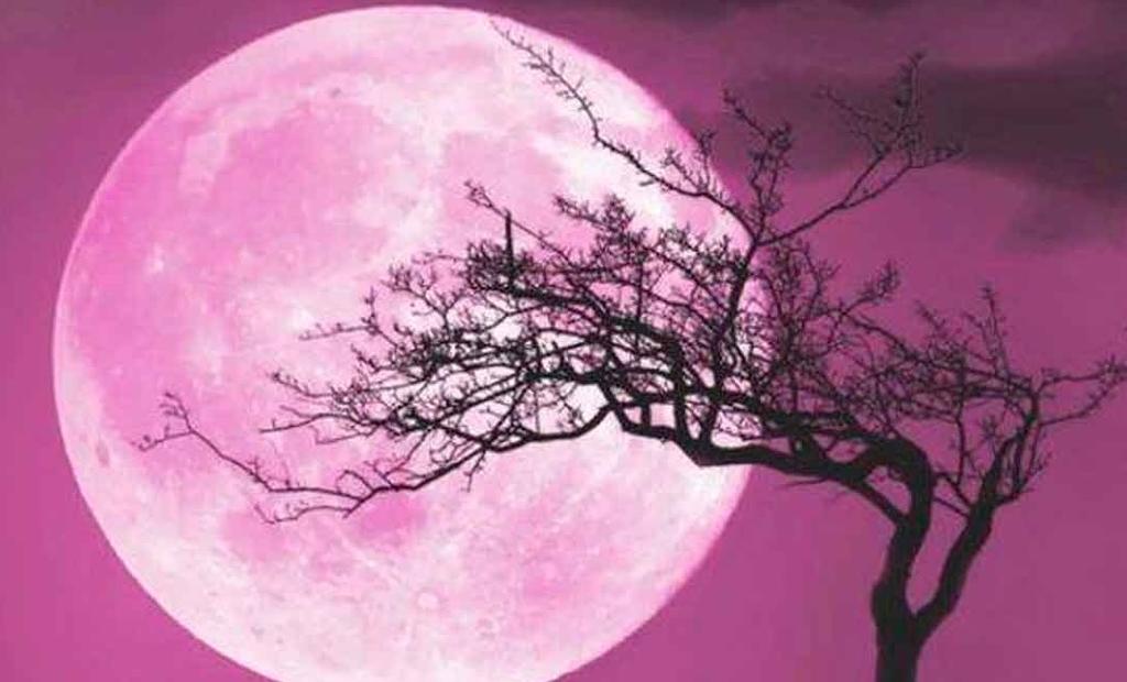¿A qué hora se podrá ver la Super Luna Rosa en México?