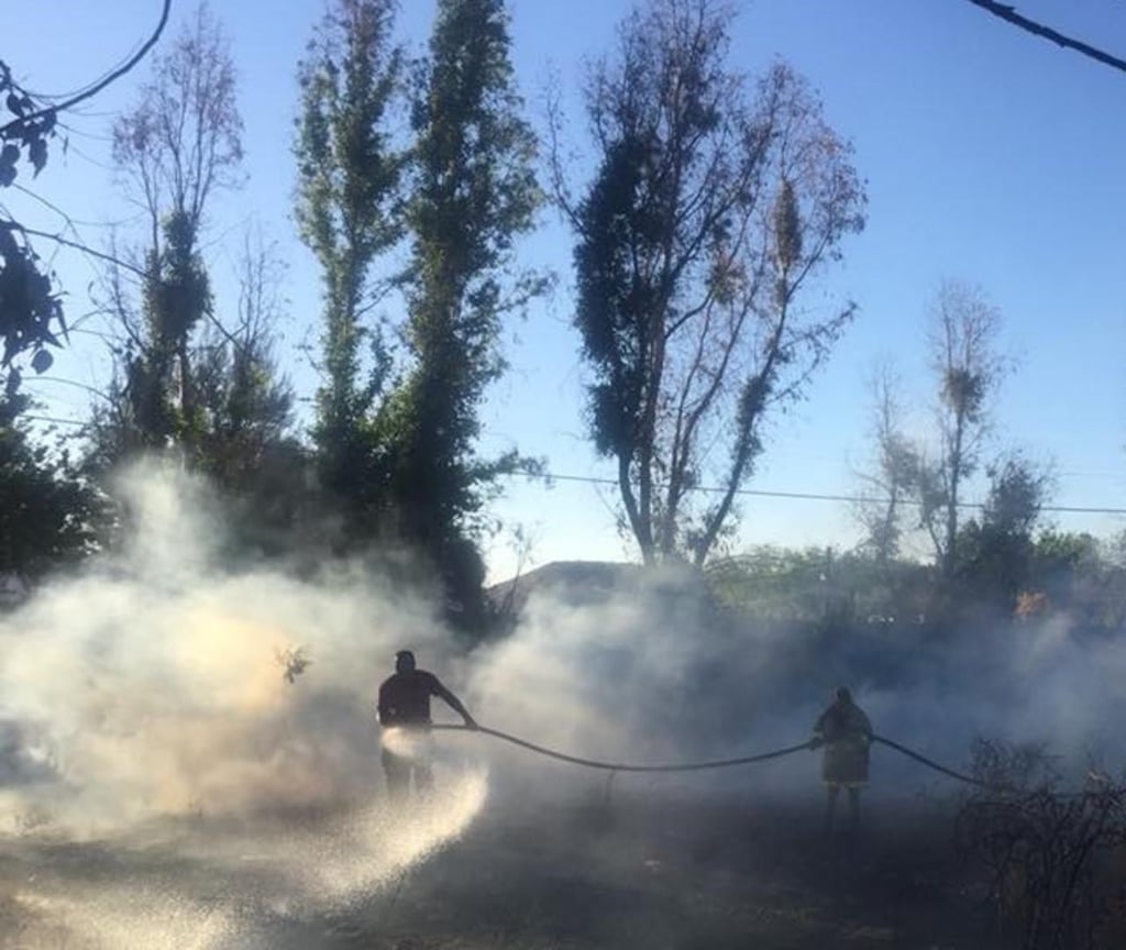 Sin control, incendio que ya dañó nueve mil hectáreas en Durango