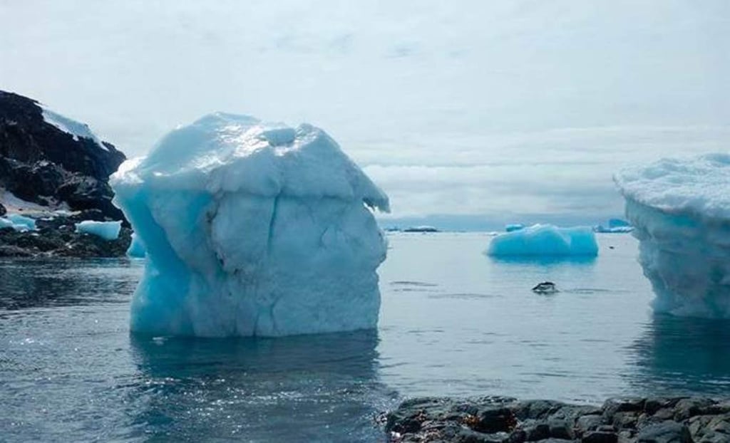 Deshielo de la Antártida podría alcanzar un punto crítico en 2060