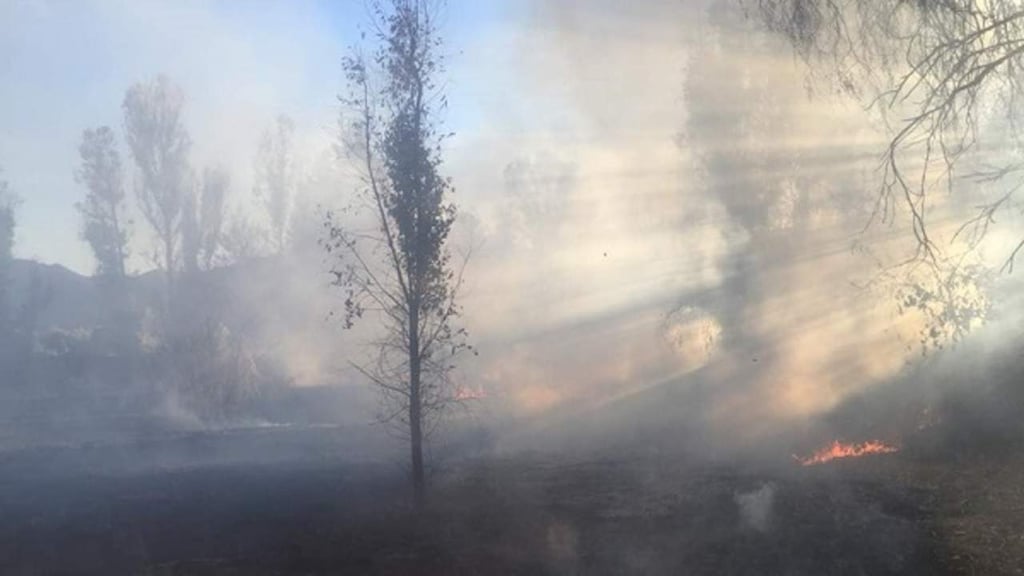 Reportan que 127 incendios forestales han afectado a Durango