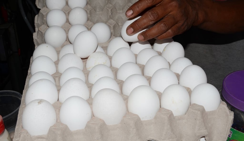 Produce Durango más de 23 mil toneladas de huevo
