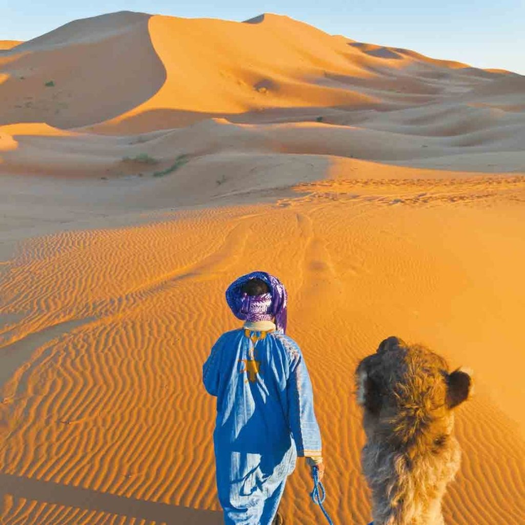 Lo que no sabías del desierto del Sahara