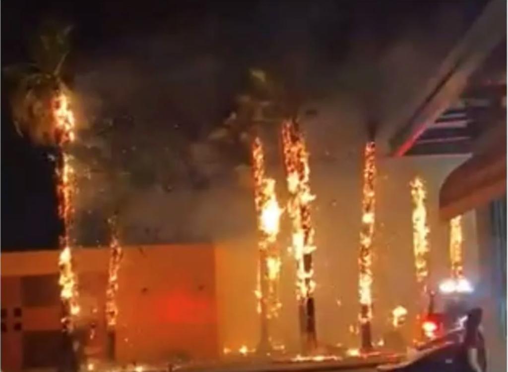 Se incendian palmeras en Universidad de Sonora