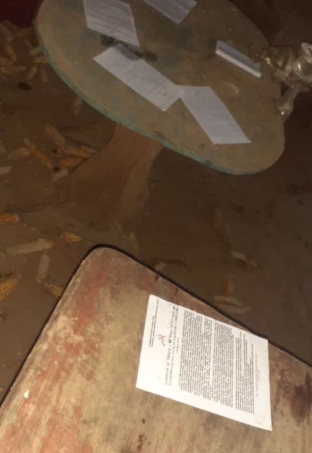 Ataque terrorista en Perú mata a 18