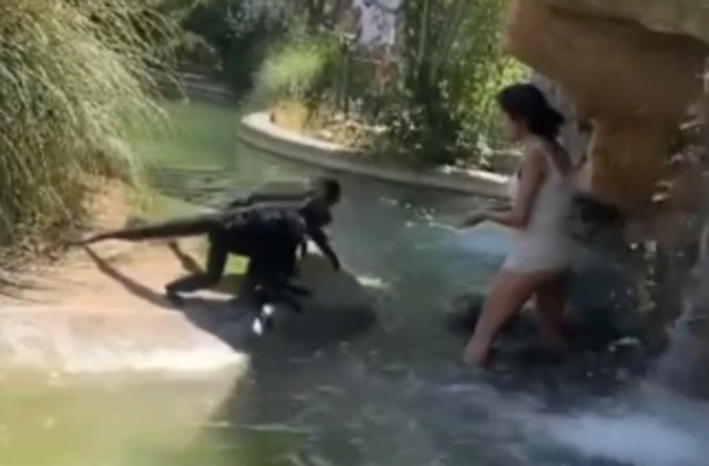 Mujer invade recinto de monos en un zoológico y los alimenta con comida chatarra