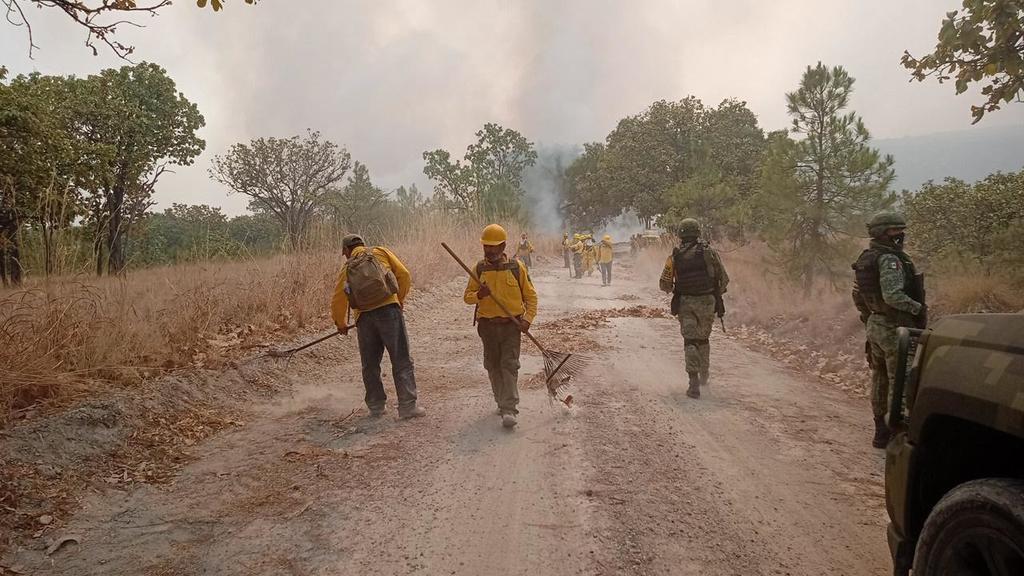 Suman 65 incendios forestales activos en 13 estados de México