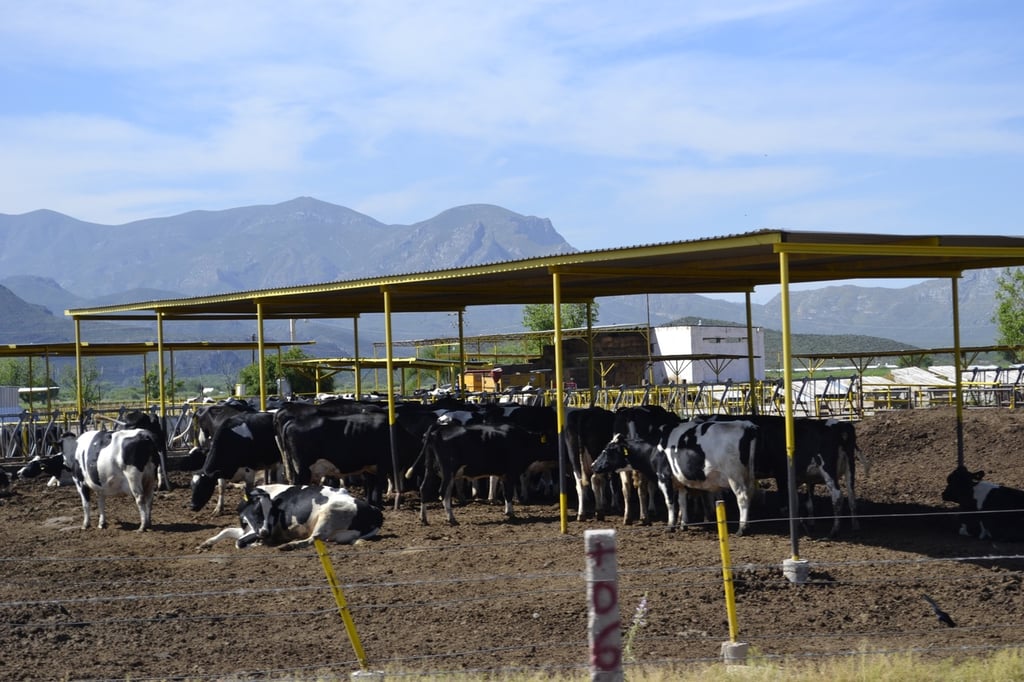 Aporta Durango el 11.4% de la leche