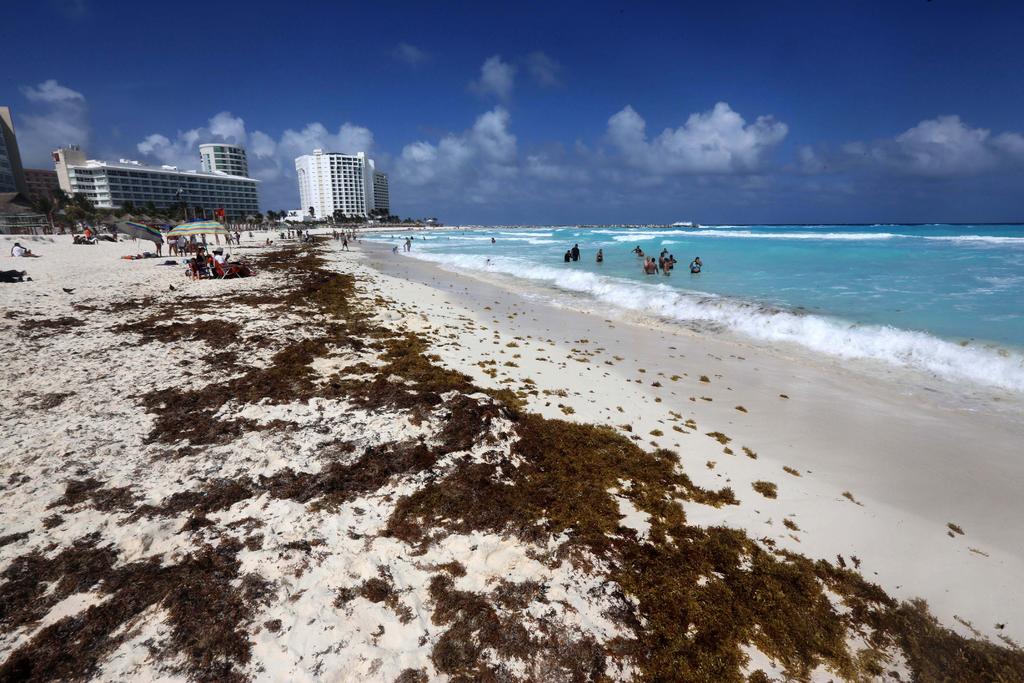 Aumentan playas con abundante sargazo en Caribe mexicano