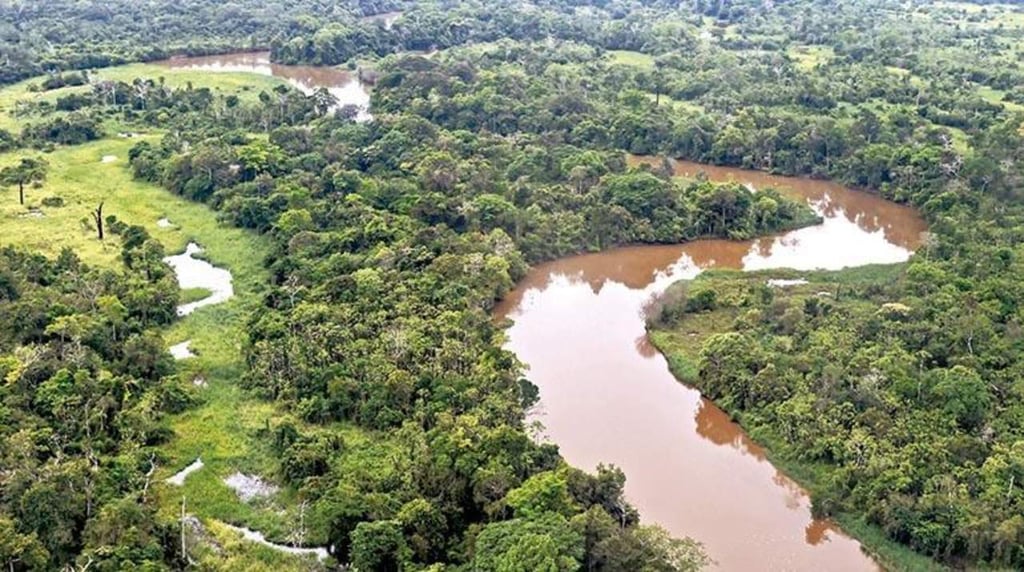 Pérdida de biodiversidad amenaza la nutrición humana en la Amazonía