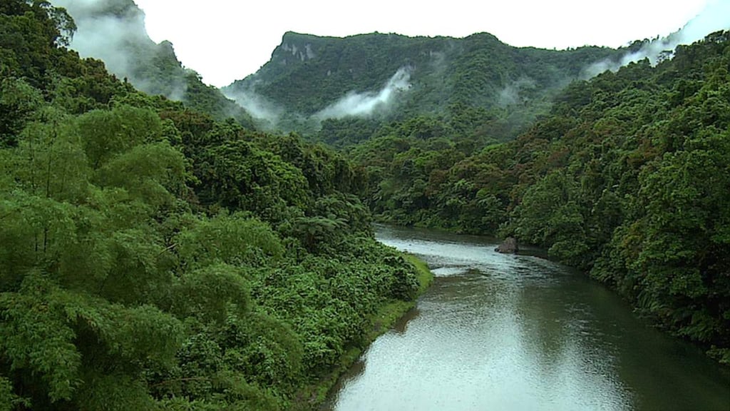 Denuncian indígenas graves daños ambientales en biosfera de Honduras