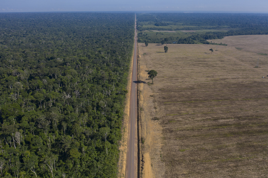 Deforestación en Brasil alcanza nivel récord