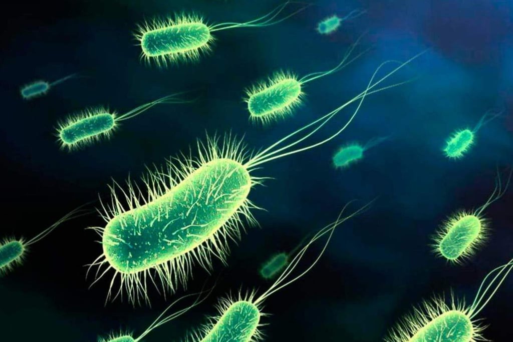 Reprograman bacterias sintéticas para ser resistentes a los virus