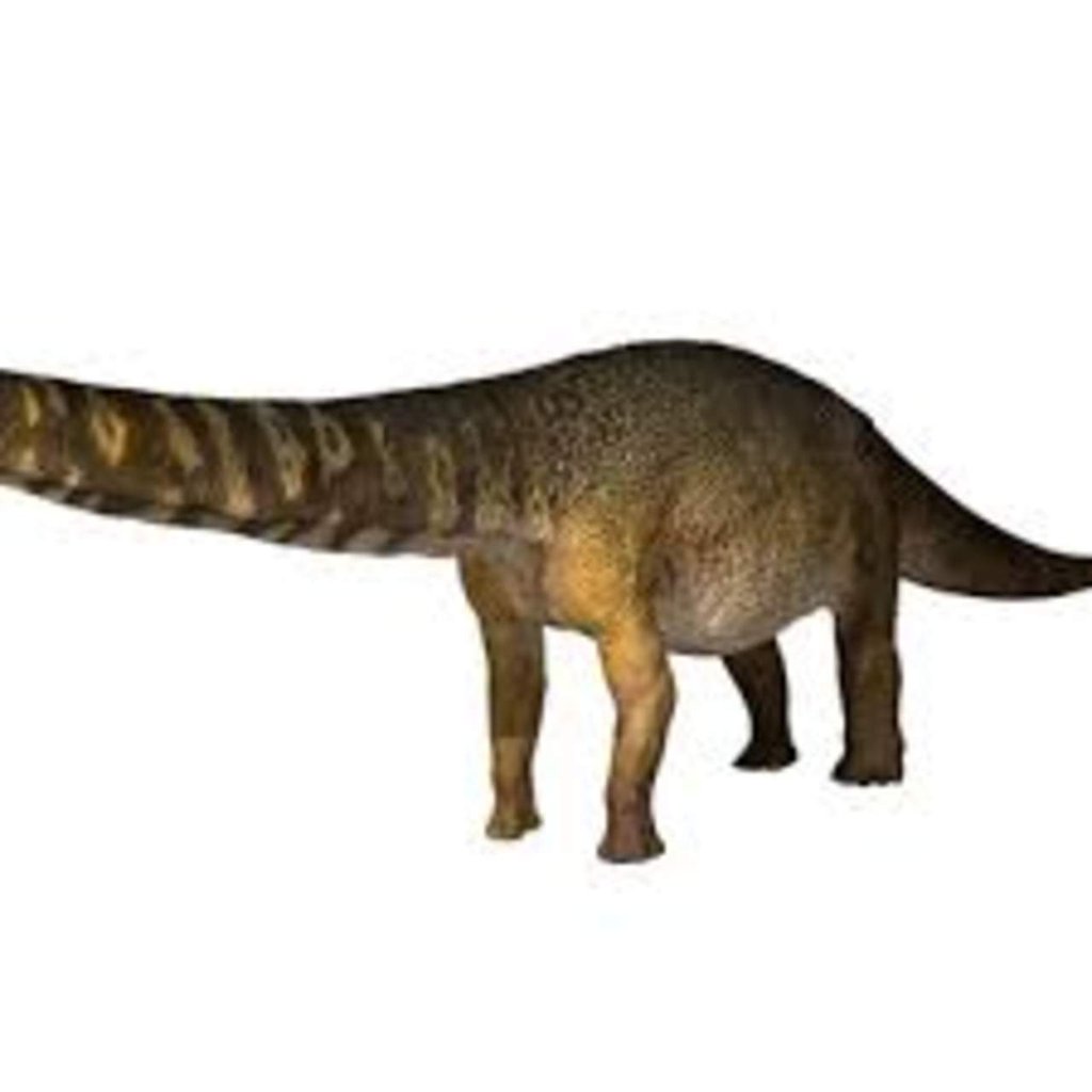 Identifican nueva especie de dinosaurio como la más grande de Australia