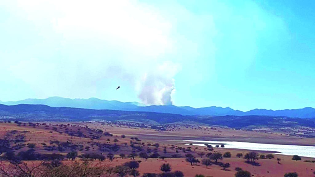 Suman 57 mil hectáreas afectadas por el fuego en Durango