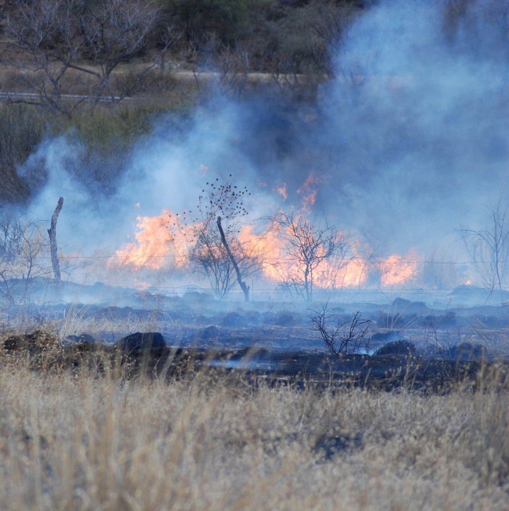 Durango tiene tres incendios forestales activos