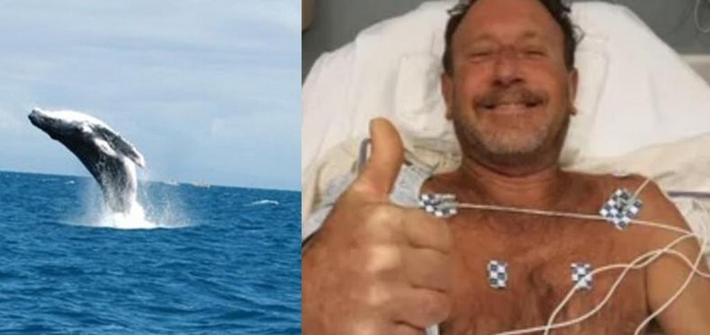 Buzo sobrevive tras ser tragado por una ballena; el animal lo escupió