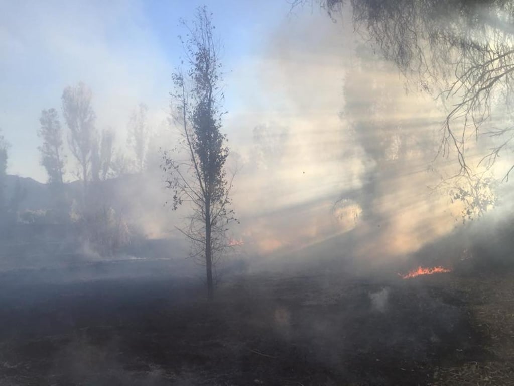 Durango ya es el segundo más afectado por los incendios forestales