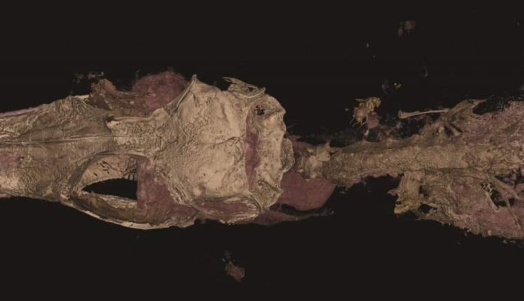 Dinosaurio aviano más pequeño del mundo era, en realidad, un lagarto