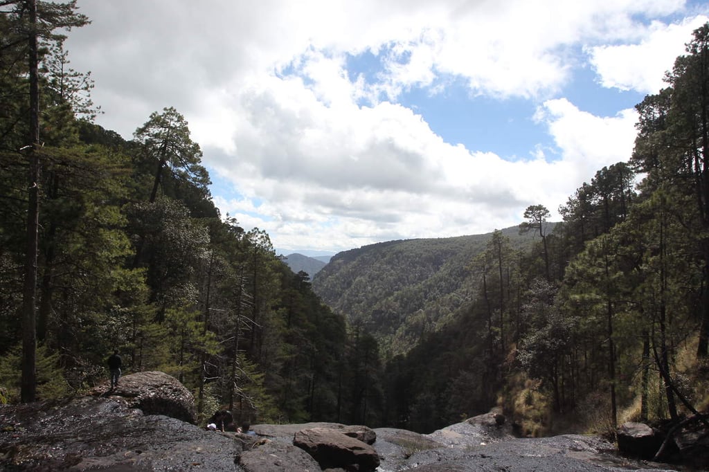 Abren Corredor Aviturismo para atraer visitantes a la Sierra