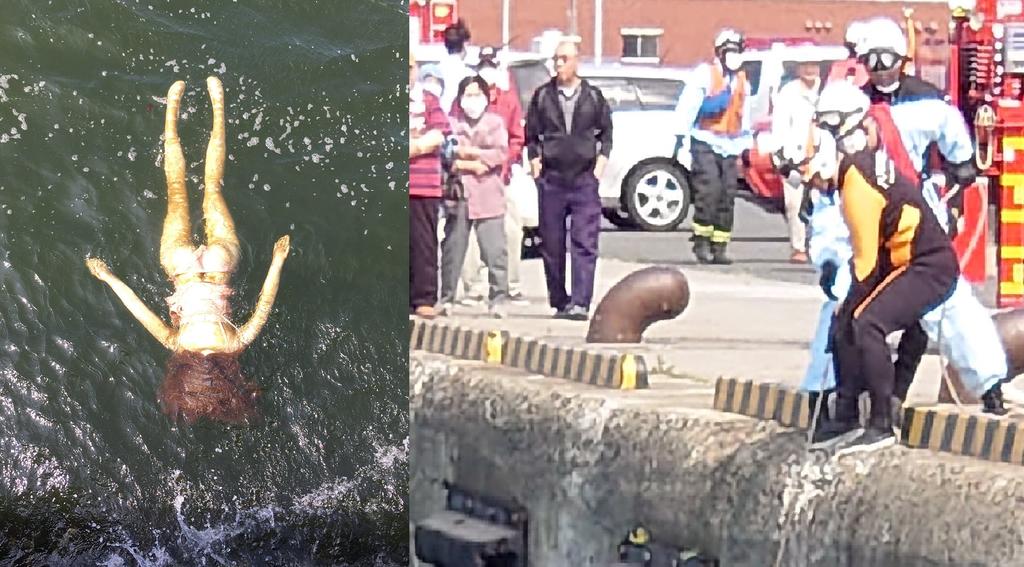 Rescatistas intentan salvar a 'mujer ahogada' en Japón y se llevan 'gran sorpresa' al sacarla del agua