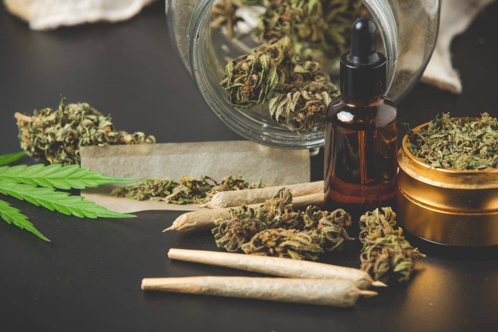 Marihuana, más adictiva y menos medicinal: CEPPAD