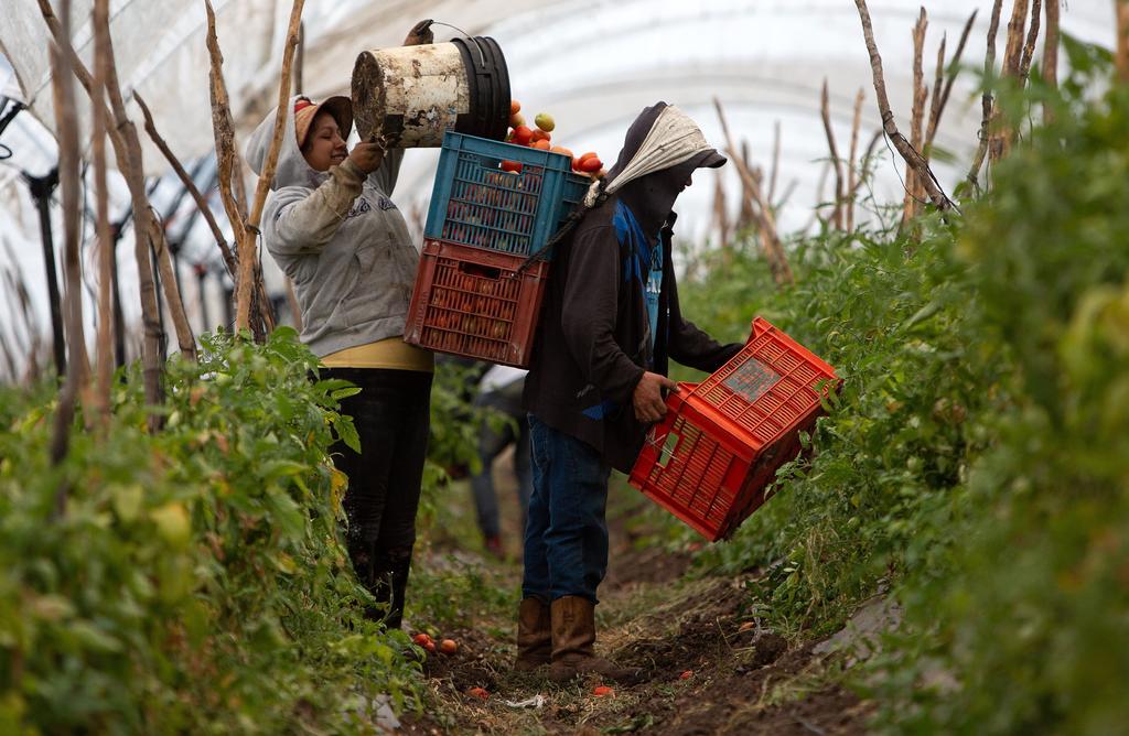 Los productores abandonan el campo mexicano por falta de apoyos