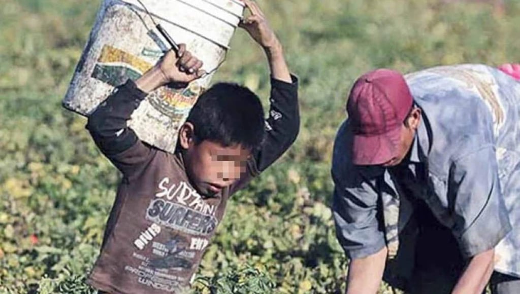 Hay 5 municipios de Durango con mayor riesgo de trabajo infantil