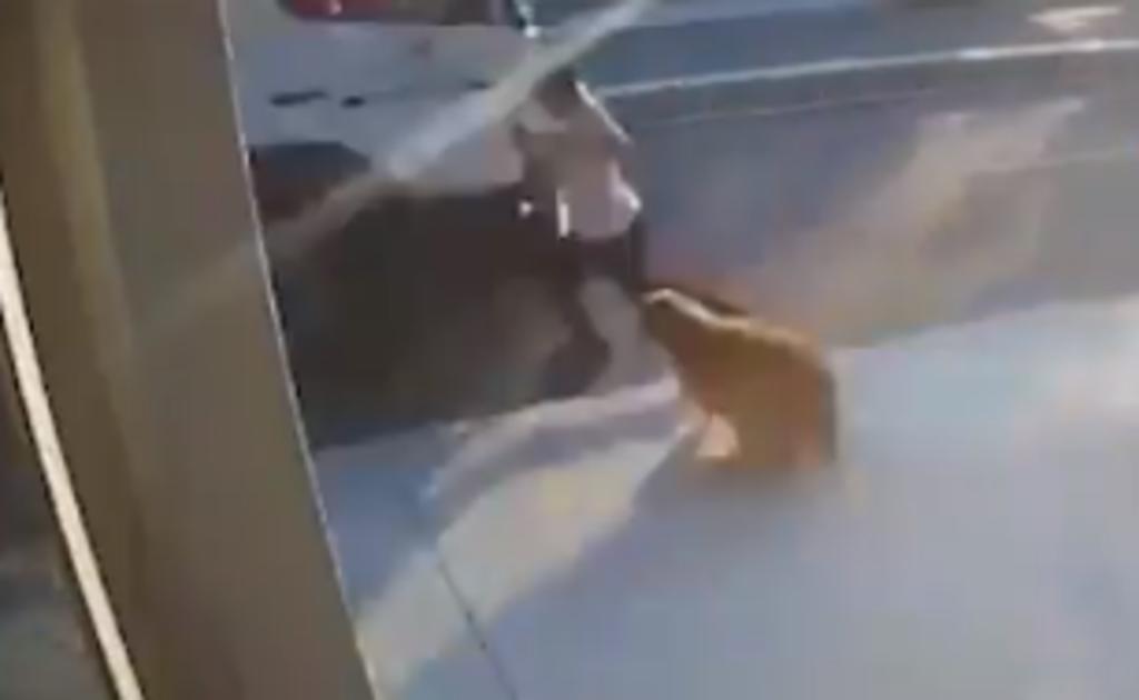 Hombre corre hacia la calle porque un perro lo asustó y termina atropellado
