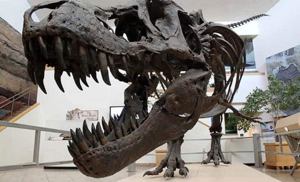 Un estudio apunta a que los dinosaurios ya se extinguían antes de lo que se creía
