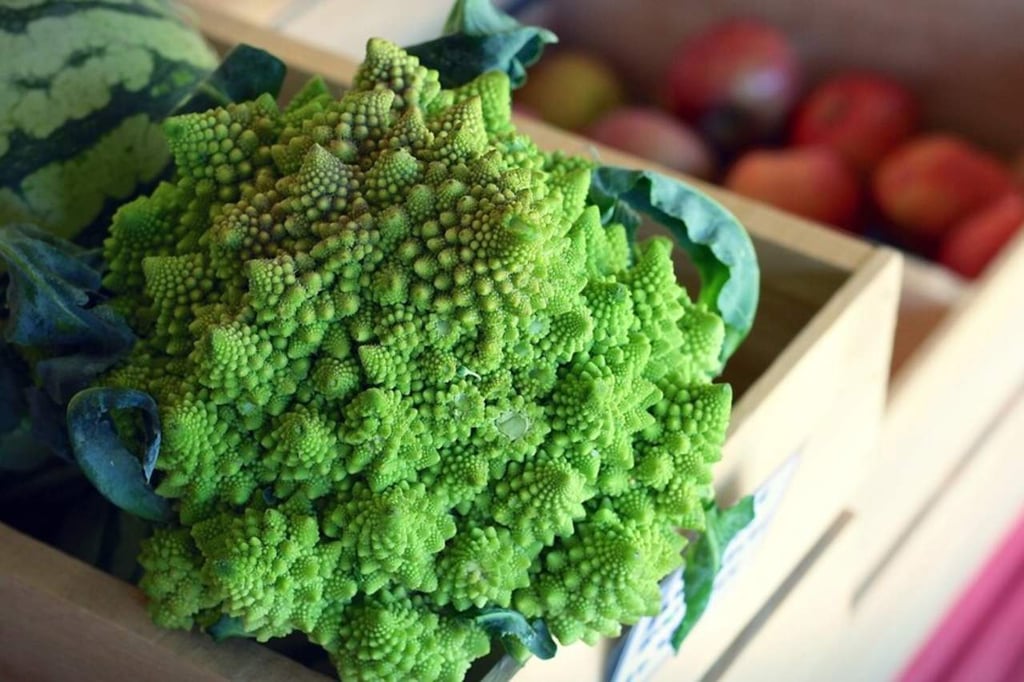 ¿De dónde viene la peculiar estructura geométrica del brócoli?