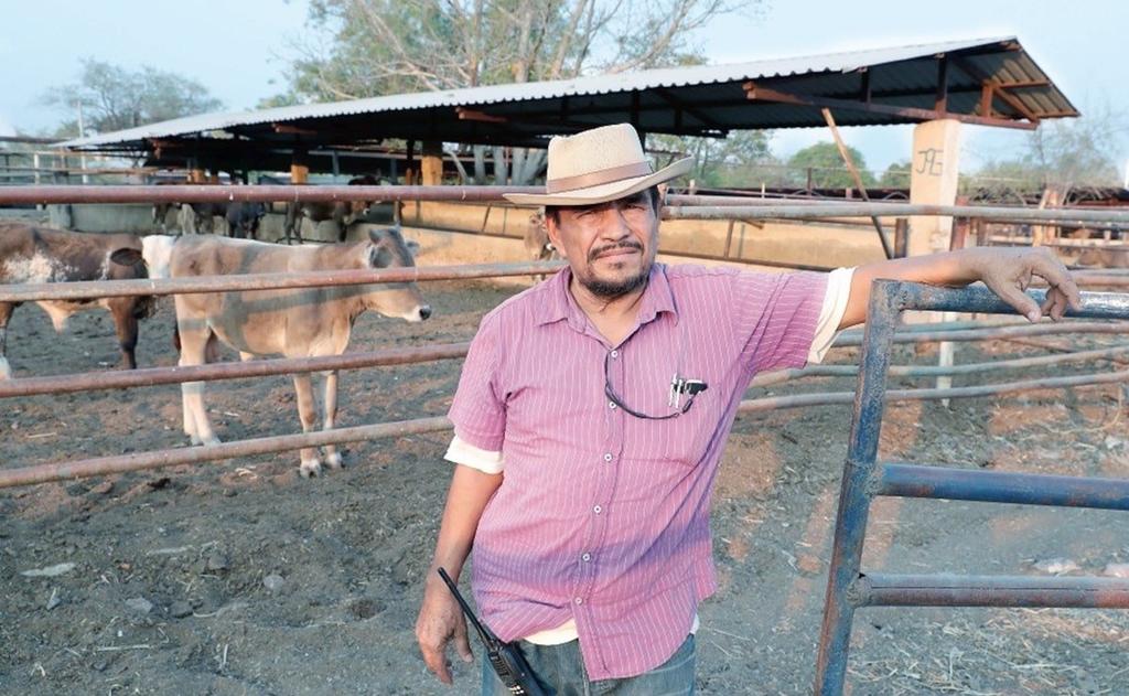 Autodefensas en Michoacán hallan con vida a 'El Kiro', uno de sus fundadores