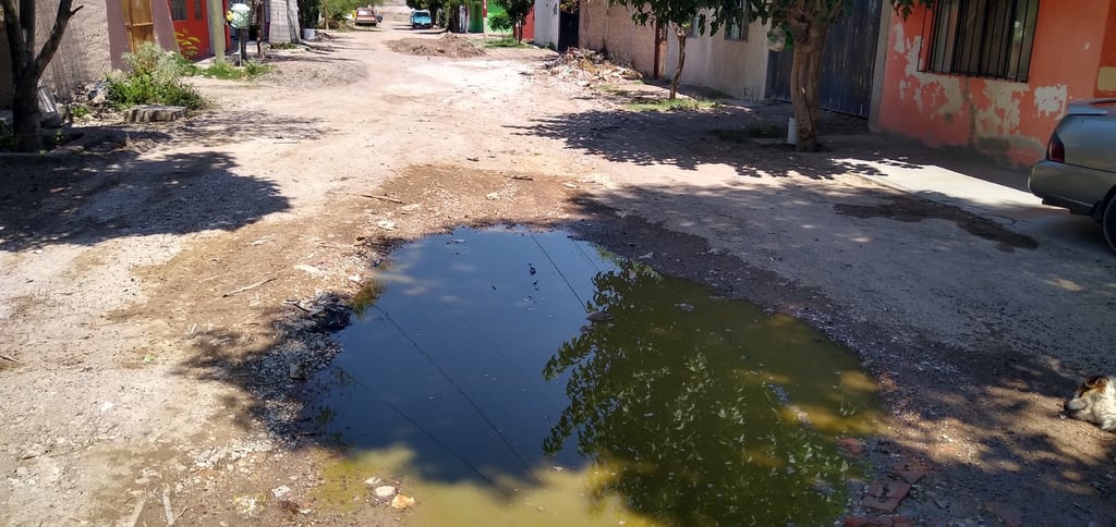 Persisten quejas por aguas negras en Centro de Lerdo