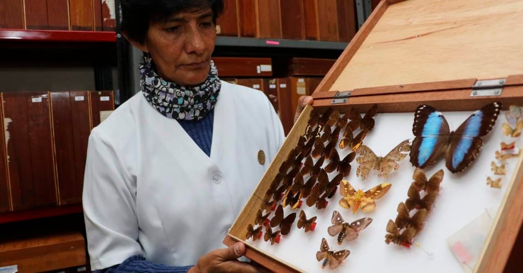Bióloga, guardiana y madrina de una decena de insectos en Bolivia
