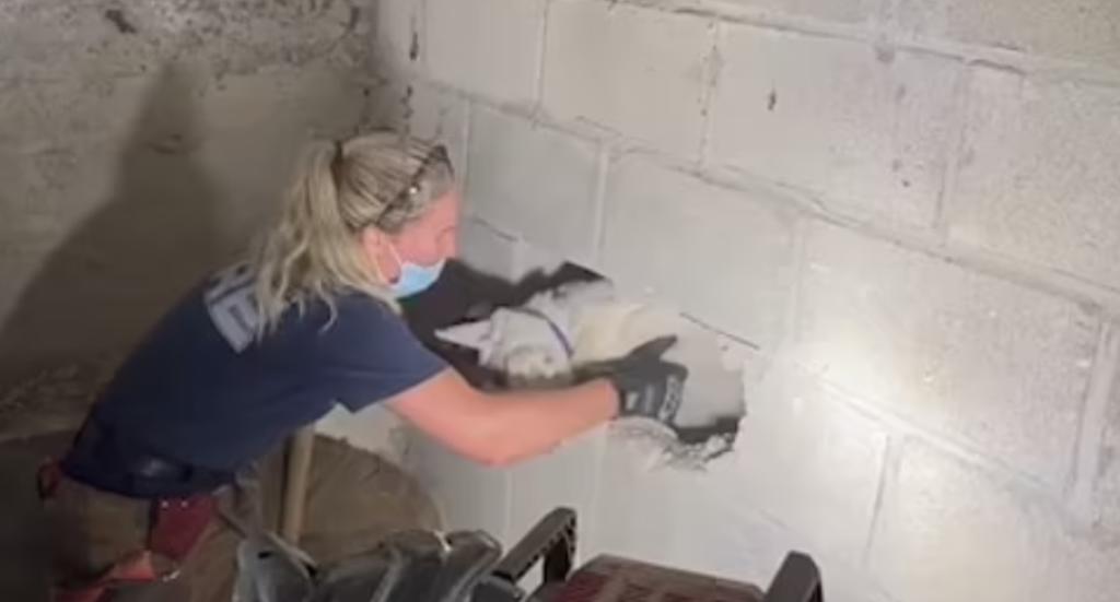Bomberos rompen pared de concreto para rescatar a una perra que estaba atrapada