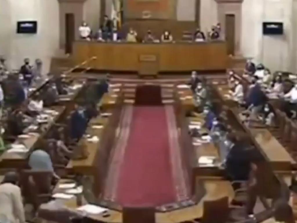 Rata se cuela a sesión del Parlamento de Andalucía y provoca caos