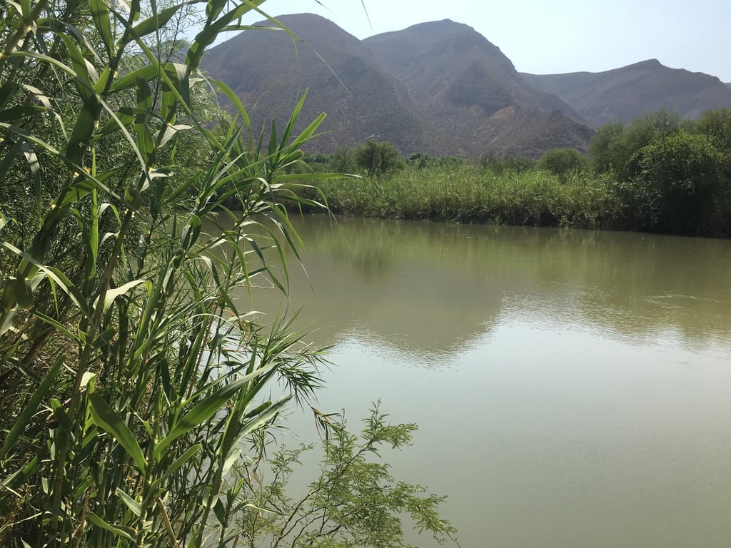 Explican proyecto de Agua Saludable para La Laguna